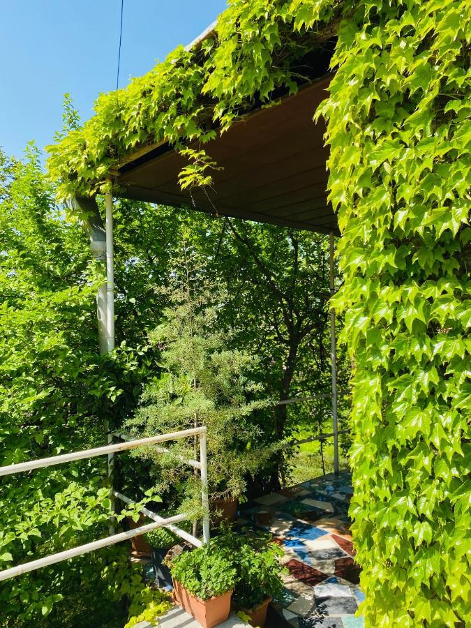Hotel Green House Lagodekhi Esterno foto
